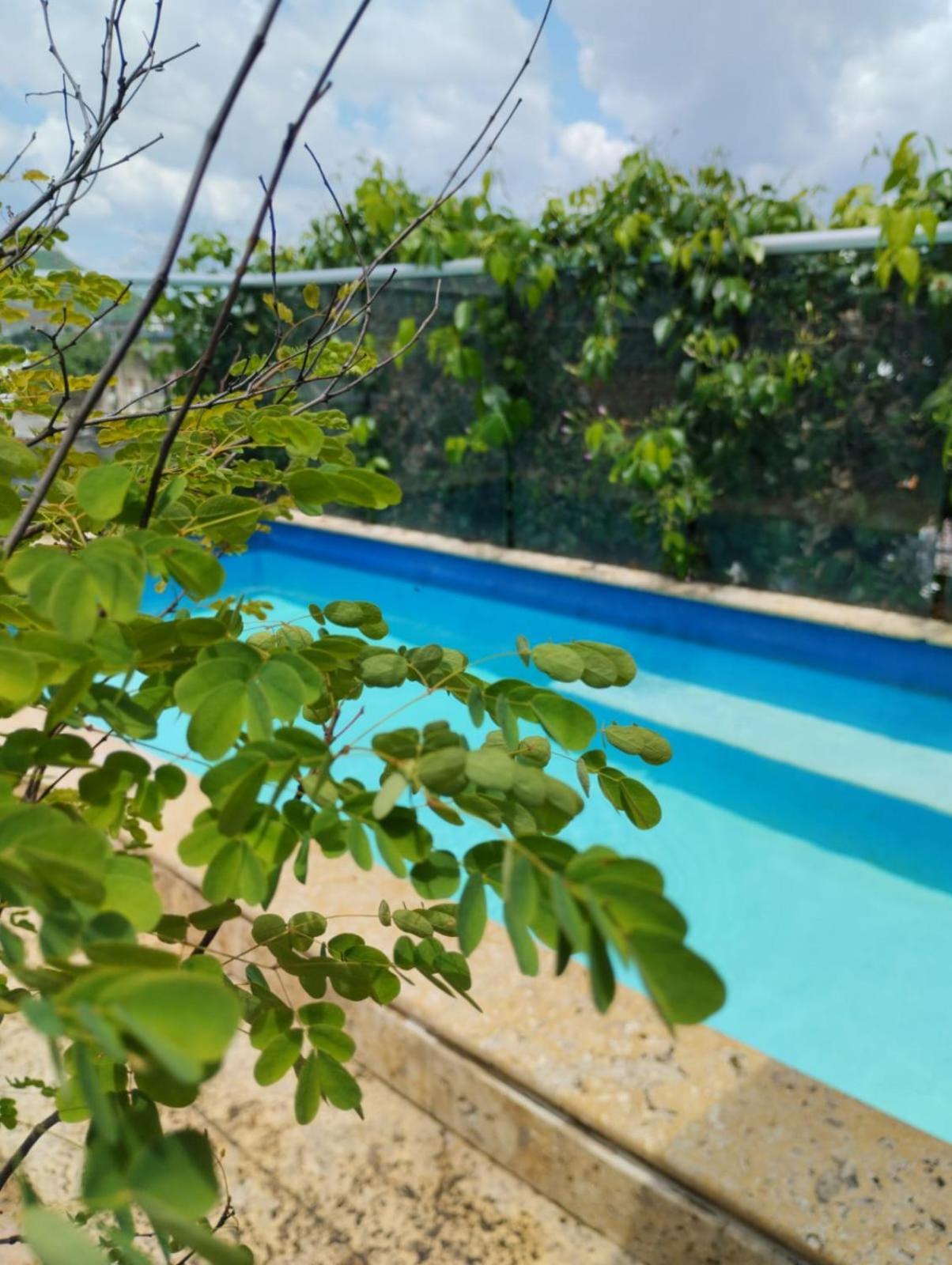 Casa Ebano 967 Otel Cartagena Dış mekan fotoğraf