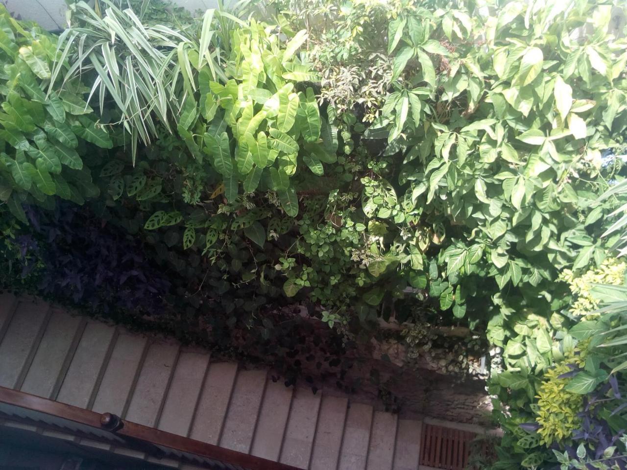 Casa Ebano 967 Otel Cartagena Dış mekan fotoğraf